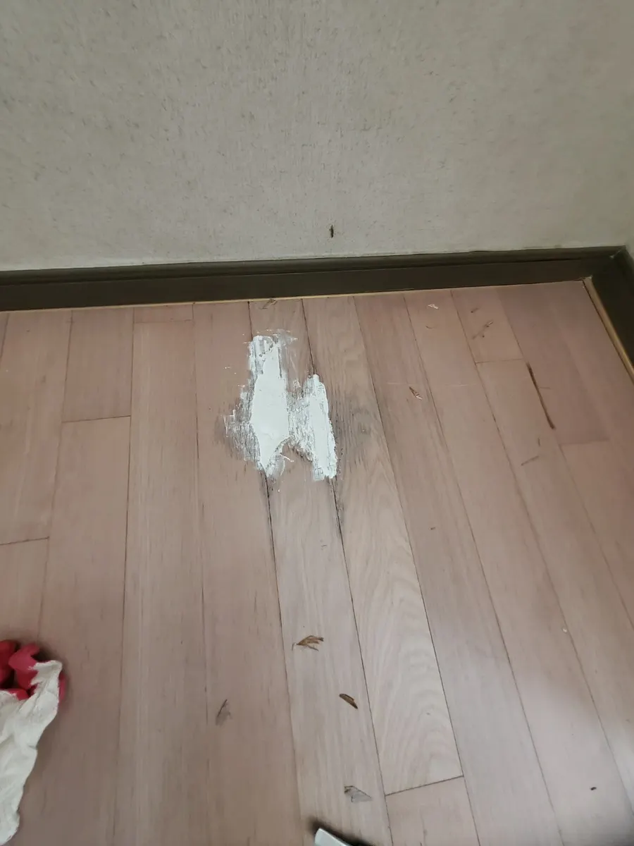 썩은 강마루를 파낸 자리에 퍼티를 채운 모습